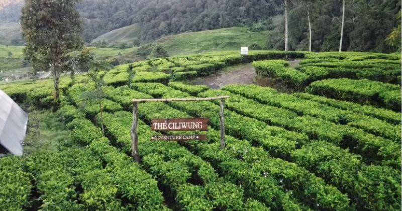 Instagram.com/Theciliwung